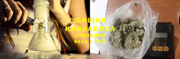 индика Усмань