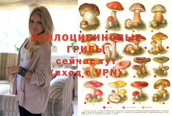 первитин Волосово