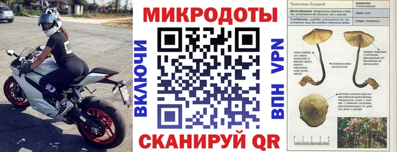Галлюциногенные грибы Psilocybe  KRAKEN как войти  Луховицы 