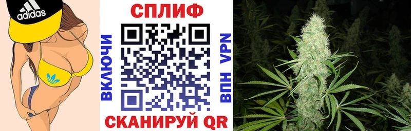 цены наркотик  Луховицы  Конопля семена 